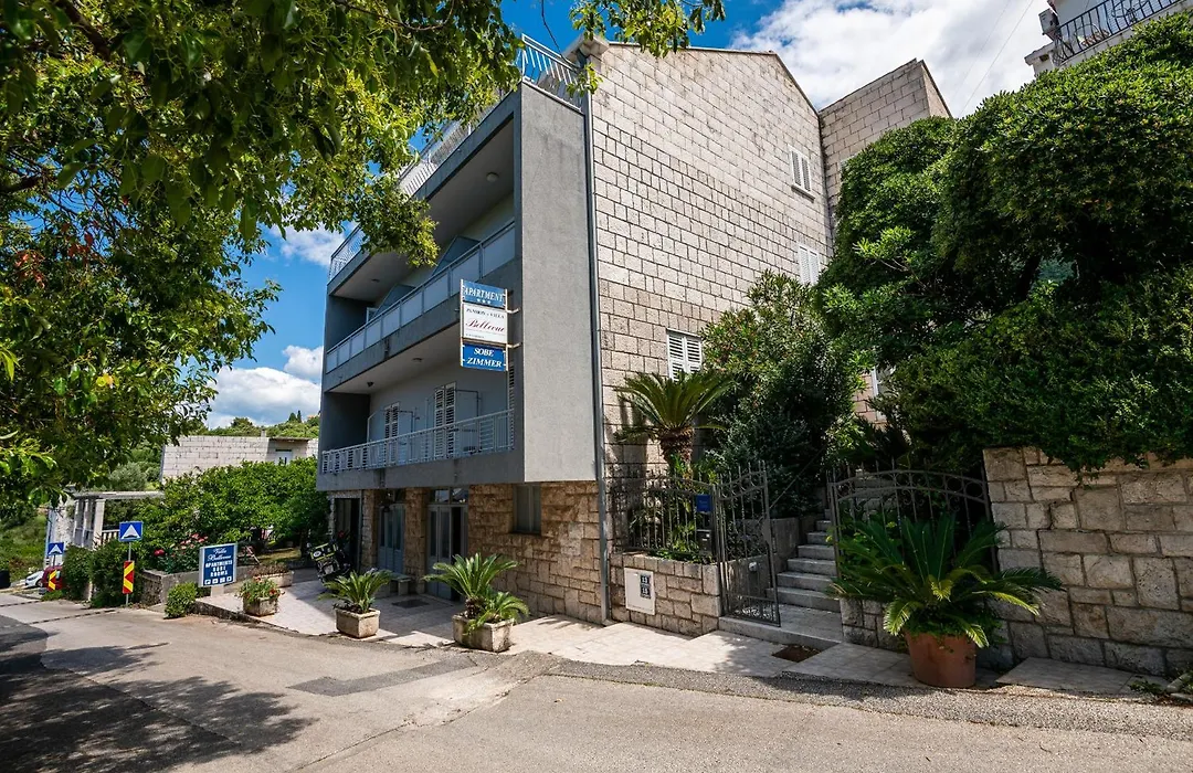 Guest House Villa Bellevue-1